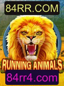 RunningAnimals: Explorando o Mundo Vibrante e Competitivo desse Novo Jogo